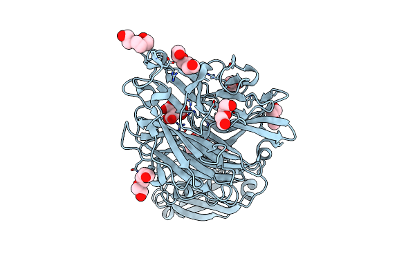 8T24 image