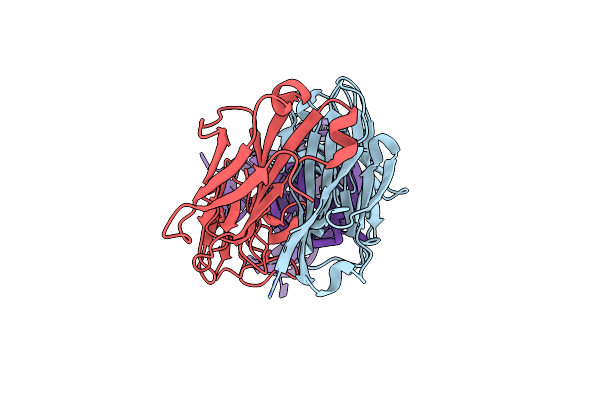 8T29 image