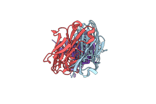 8T2A image
