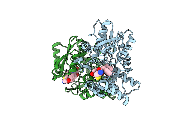 8T2C image
