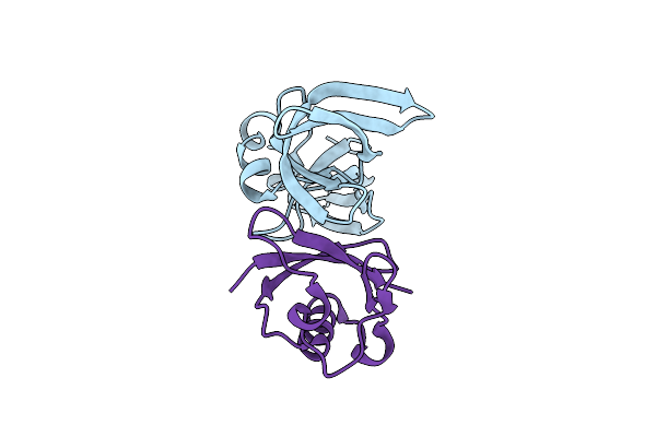 8T2D image