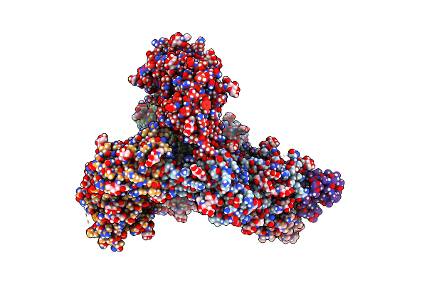8T2F image
