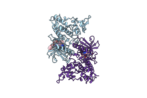 8T2H image