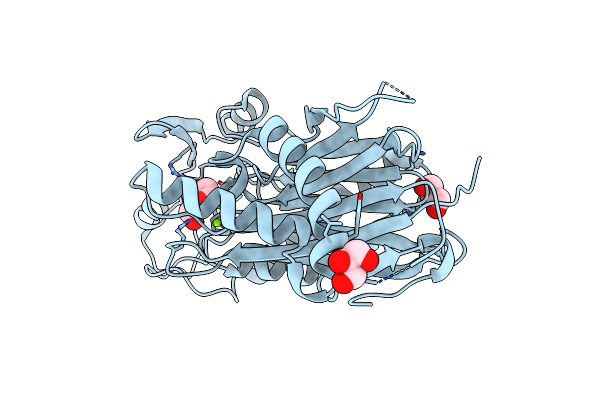 8T2J image