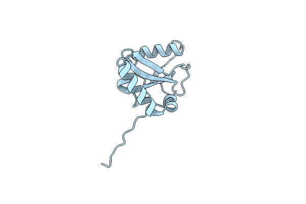 8T2M image