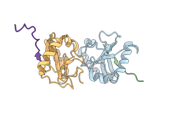 8T2N image