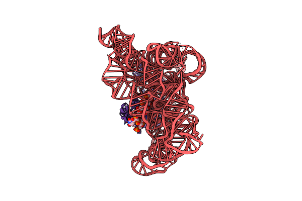 8T2R image