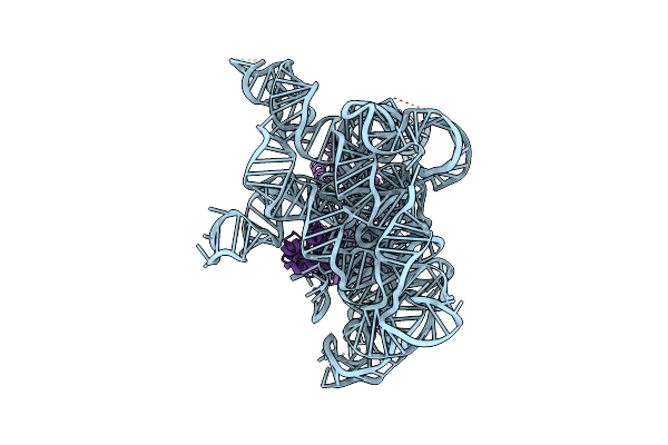 8T2S image