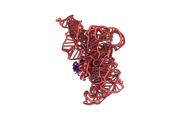 8T2T image