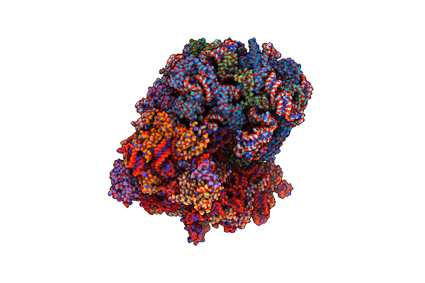 8T2X image