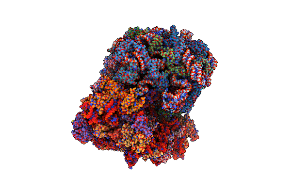 8T2Z image