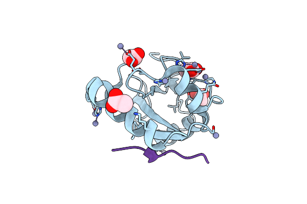 8T33 image