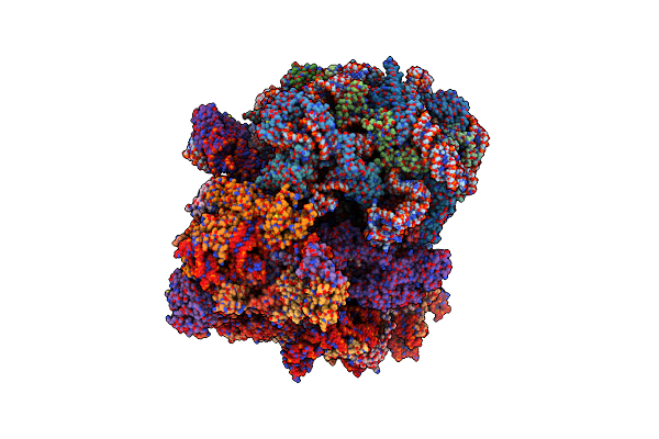 8T3C image