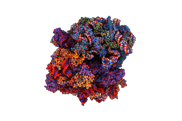 8T3D image