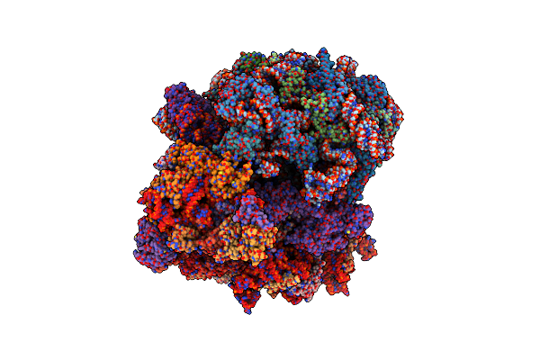 8T3F image