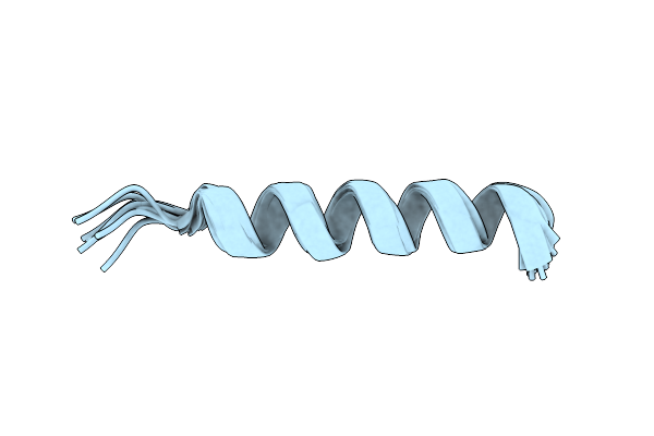 8T3N image