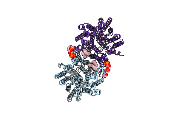 8T3U image