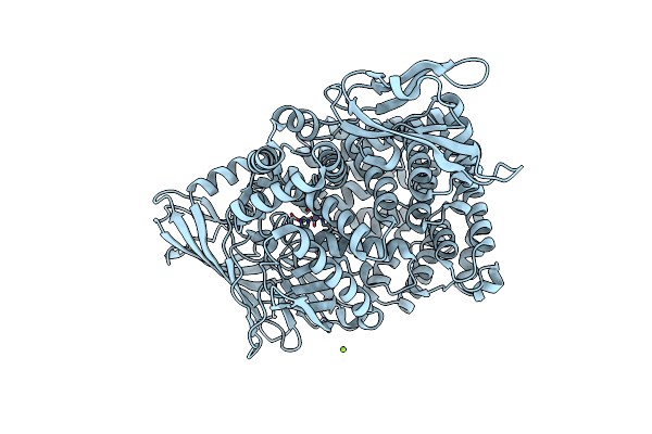 8T41 image
