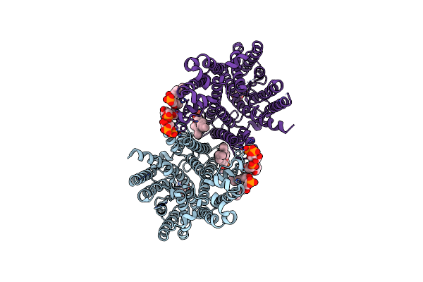 8T45 image