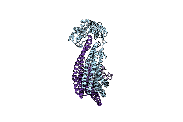 8T46 image