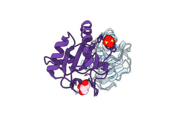 8T4C image