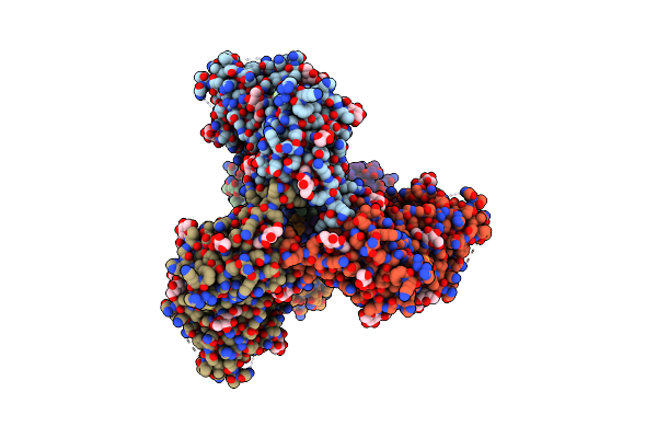 8T4K image