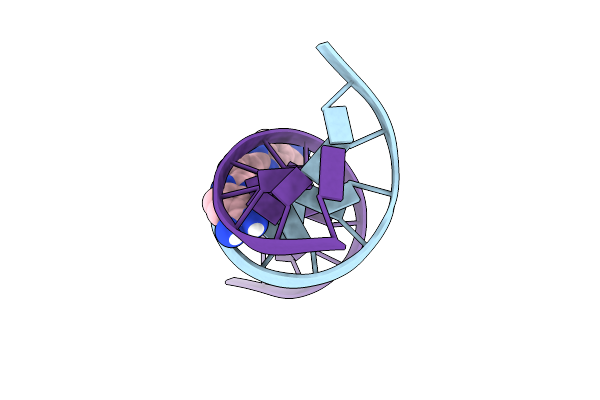 8T4N image