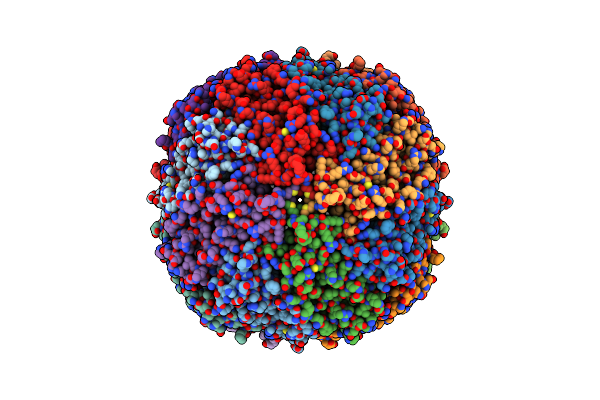 8T4Q image