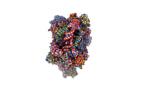 8T4S image