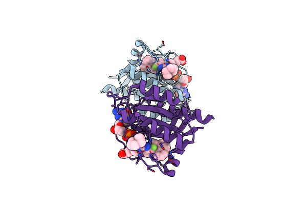 8T4V image