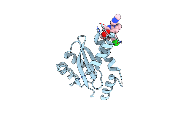8T52 image