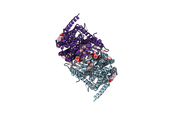 8T57 image