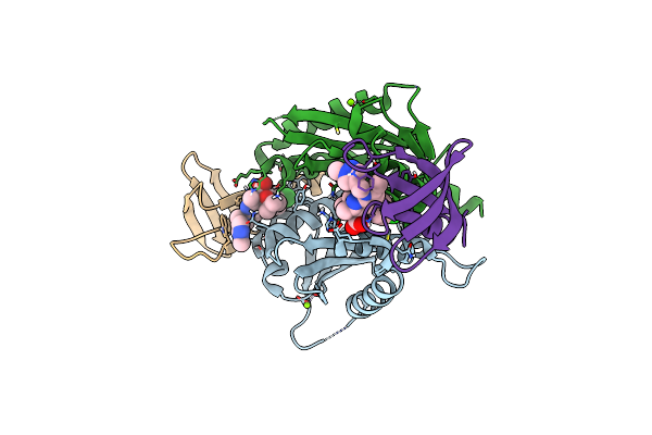 8T5B image