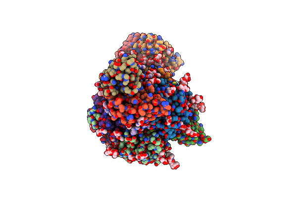 8T5C image