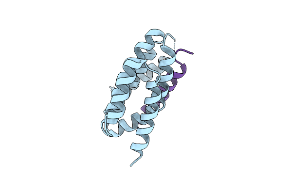 8T5E image
