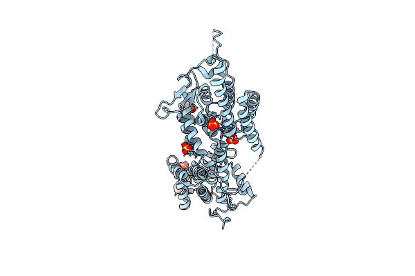 8T5G image