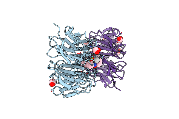 8T5I image