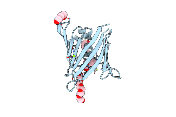 8T5J image