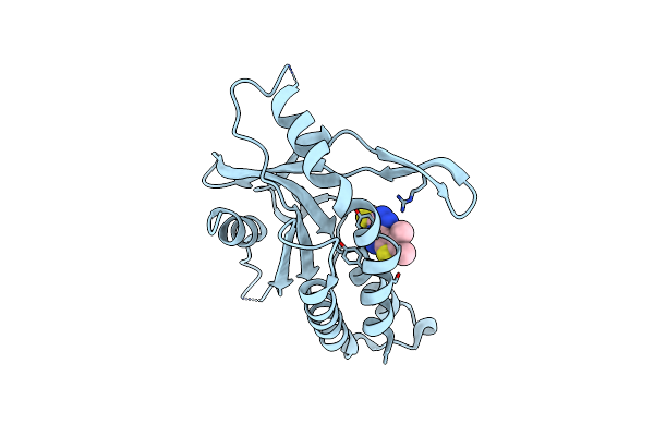 8T5K image