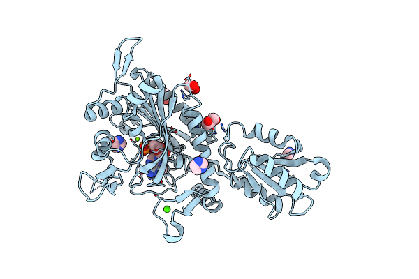 8T5N image