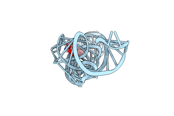 8T5O image
