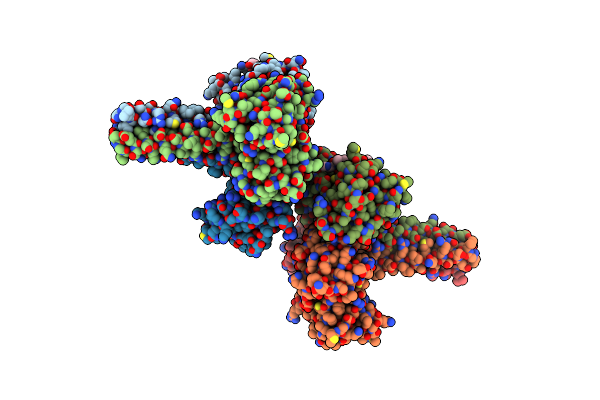 8T5P image