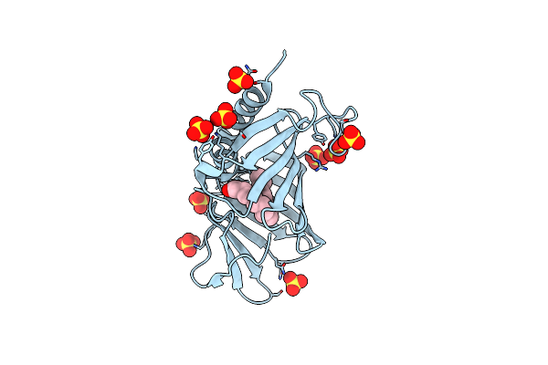 8T5T image