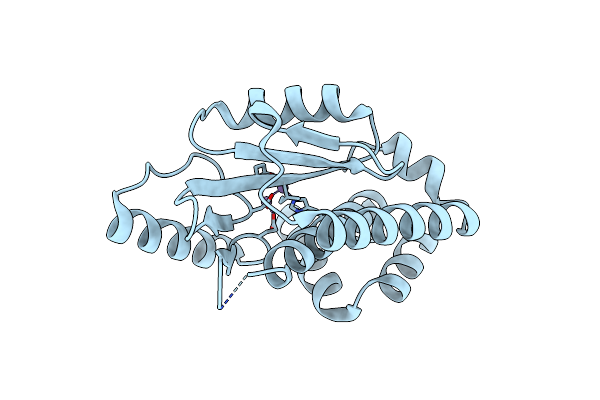 8T5Z image