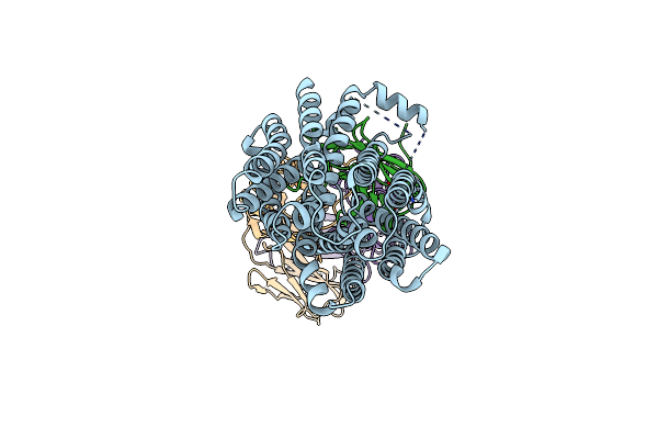 8T60 image