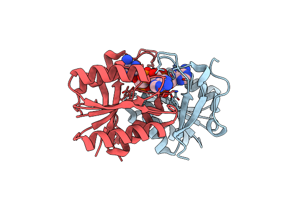8T65 image