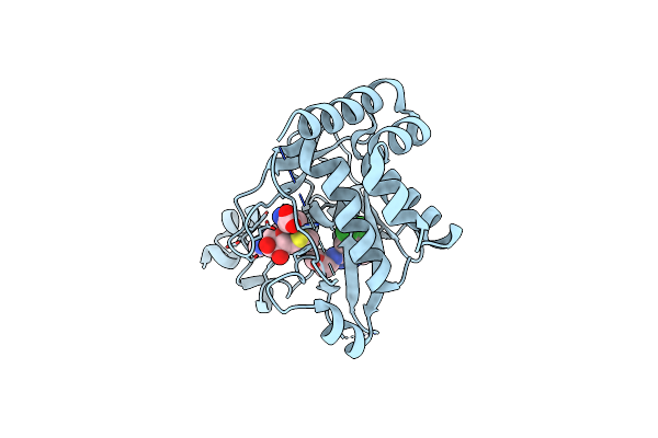 8T68 image