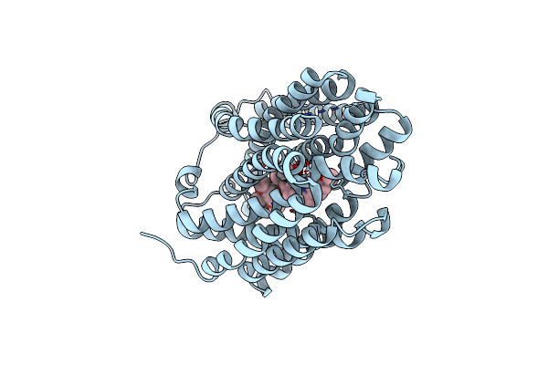 8T6A image