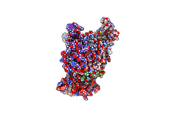 8T6C image