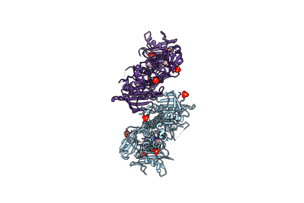 8T6D image